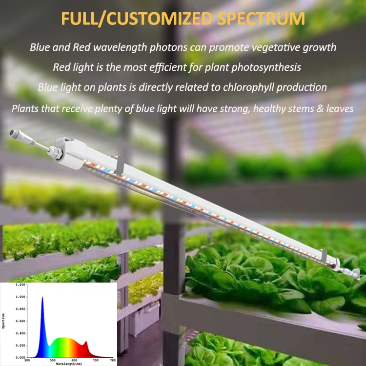 T5 élèvent des lumières 4 pied - Grow Light T5 avis et prix