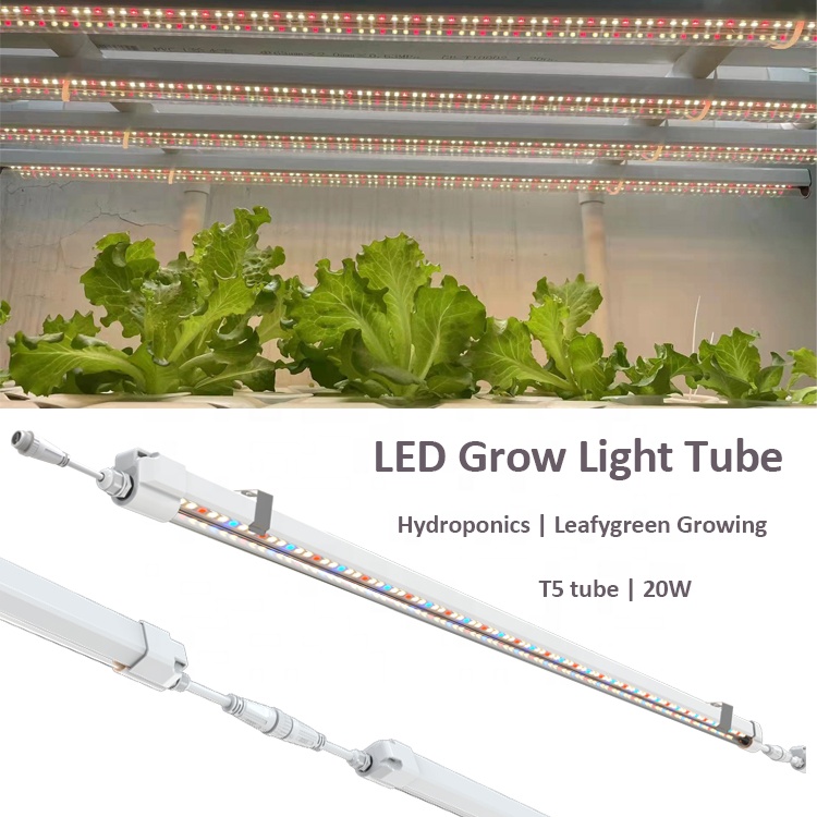T5 élèvent des lumières 4 pied - Grow Light T5 avis et prix